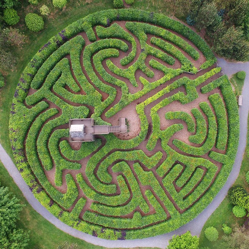 Hedge Maze 迷路庭園 フルアートFoil 英語 262)□プロモスタンプ付□《迷路庭園/Hedge Maze》[Pスタンプ_